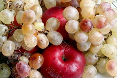 Autumnal harvest