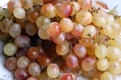 Grapes in the dish