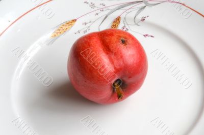 Apple in the dish