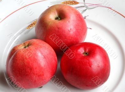 Apple in the dish