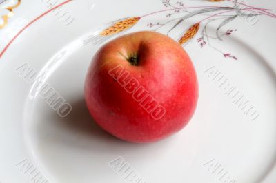 Apple in the dish