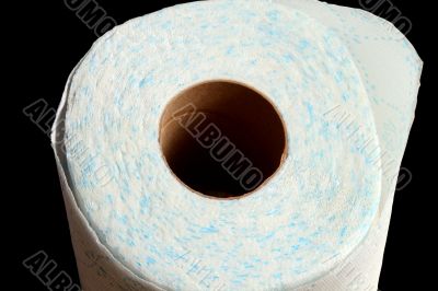 The toilet paper