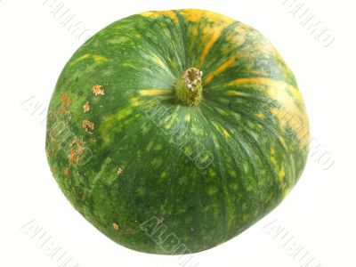 Pumpkin