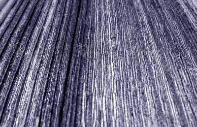Wood texture