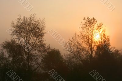 Foggy sunrise