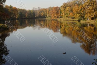 Lake by autumn