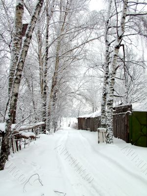 Road in the village