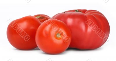 group of tomatos