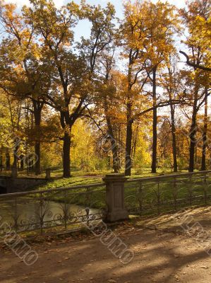 Autumn