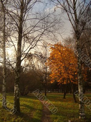 Autumn