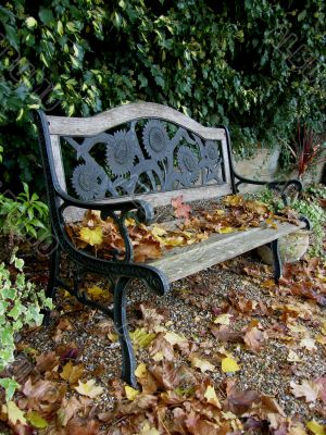 Old Garden Bench with Fallen Leaves