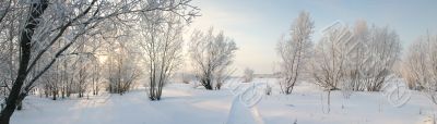 Panorama of freezing day.