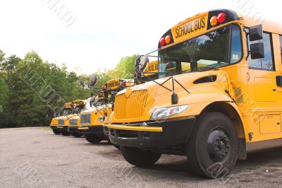 School Buses