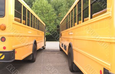 School Buses