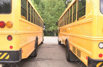 School Buses