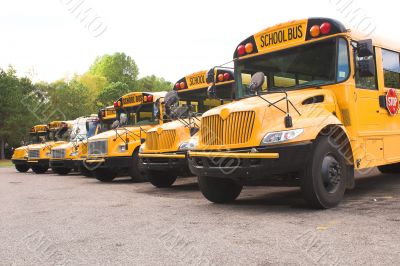 School Buses