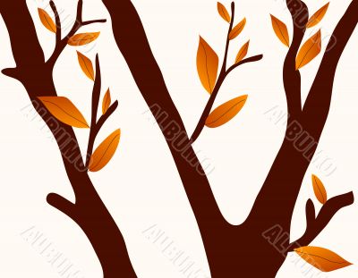 Autumn trees
