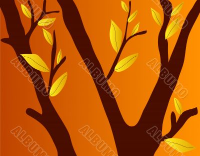 Autumn trees