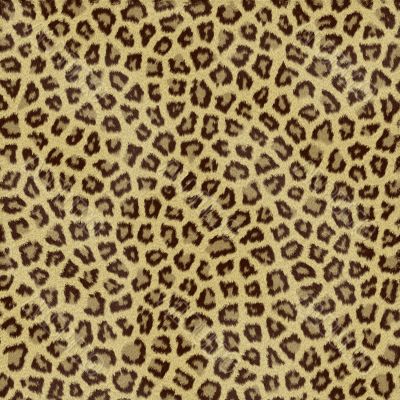 Jaguar Fur