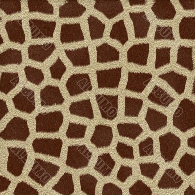 Giraffe Fur