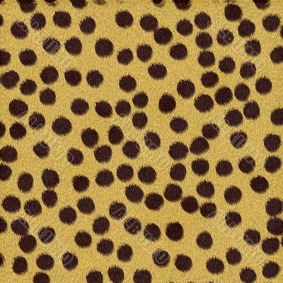 Cheetah Fur