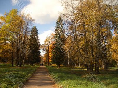 Autumn