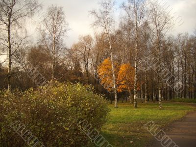 Autumn