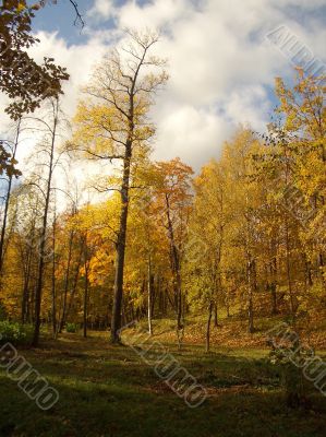 Autumn