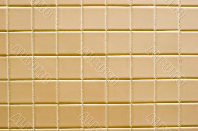Brown Ceramic Tile