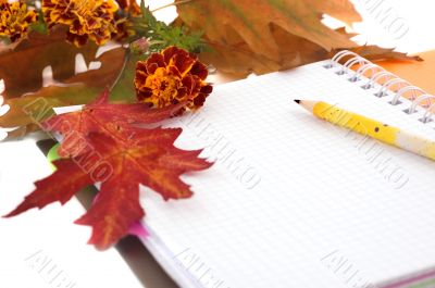 Autumn leaves and notebook