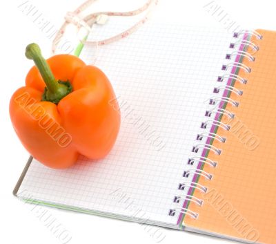 Pepper and notebook