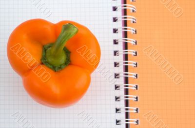 Pepper and notebook