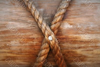 Rope, nail and wooden surface