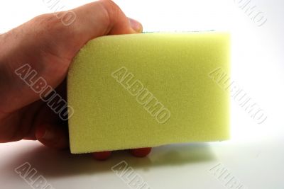 Sponge