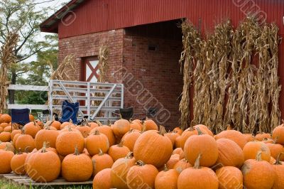 Pumpkins