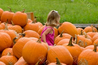 Pumpkins