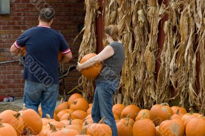 Pumpkins