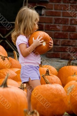Pumpkins