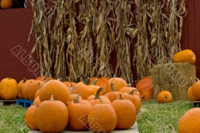 Pumpkins