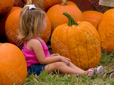 Pumpkins