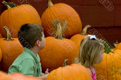 Pumpkins