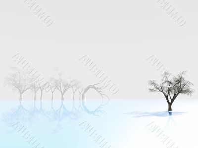 tree reflected on blue ice