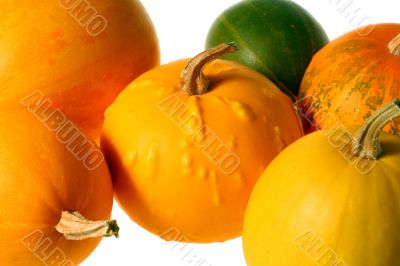 Pumpkins