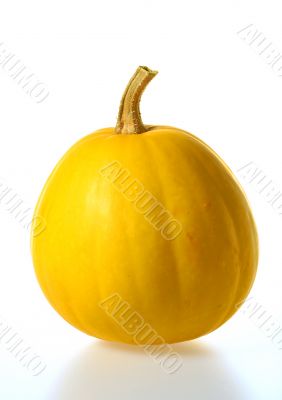 Pumpkin