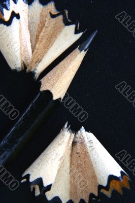 Pencil Shavings isolated in dark background
