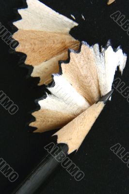 Pencil Shavings isolated in dark background