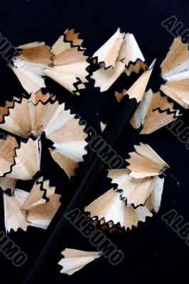 Pencil Shavings isolated in dark background