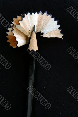 Pencil Shavings isolated in dark background