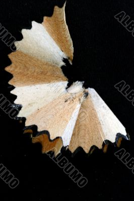 Pencil Shavings isolated in dark background