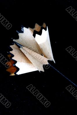 Pencil Shavings isolated in dark background